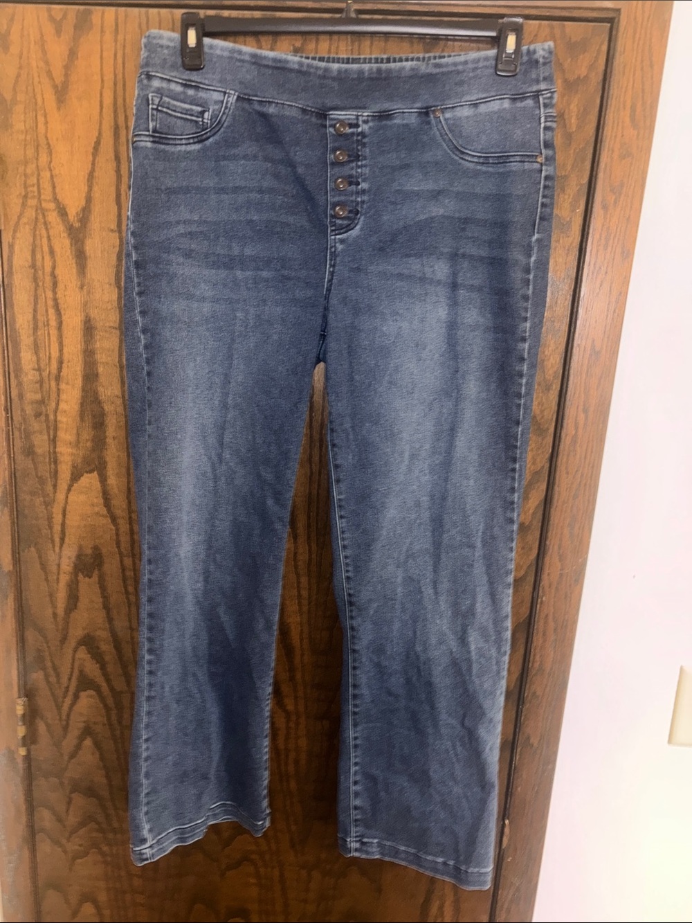 DG2 By Diane Gilman Pull On Stretch Jeans Size 1X NWT